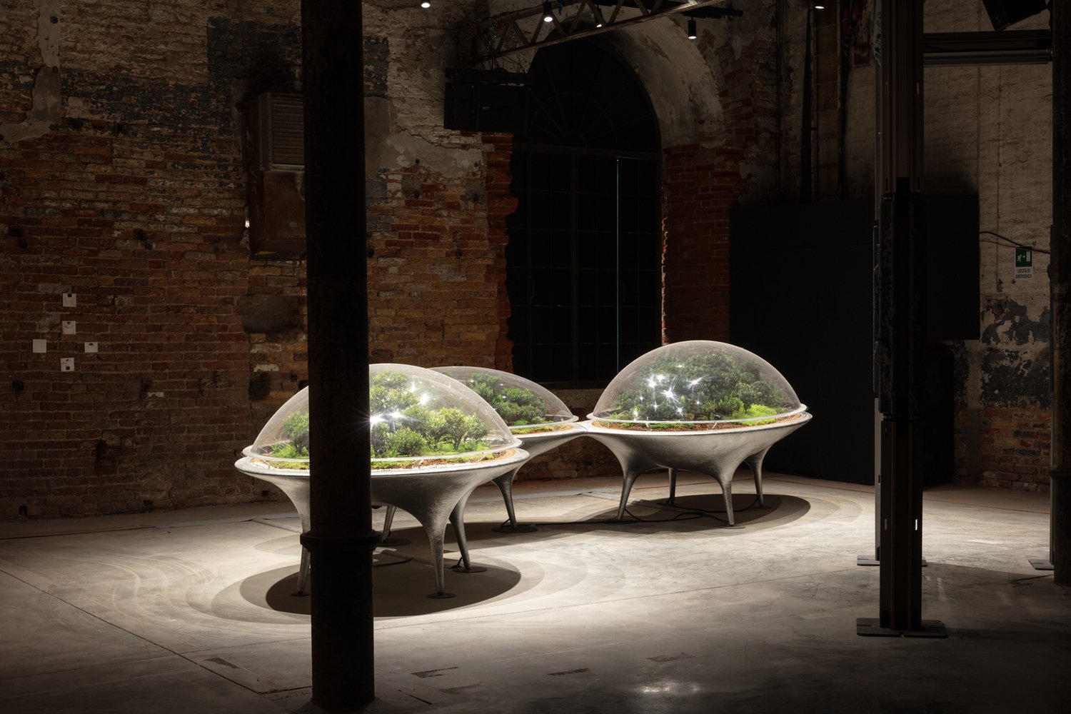 Bienal de Arquitetura de Veneza